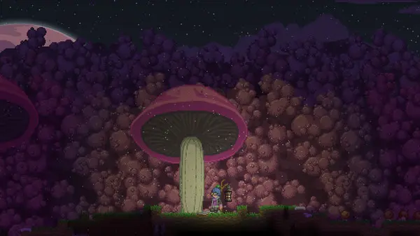 星界边境