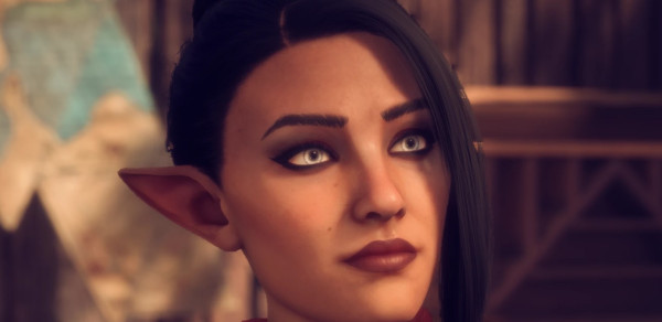 《龙腾世纪:影障守护者》Rook De Riva - 精灵女性存档MOD