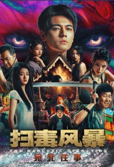 扫毒风暴-宛北往事下载