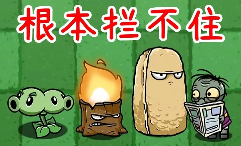 植物大战僵尸:美丽小镇版