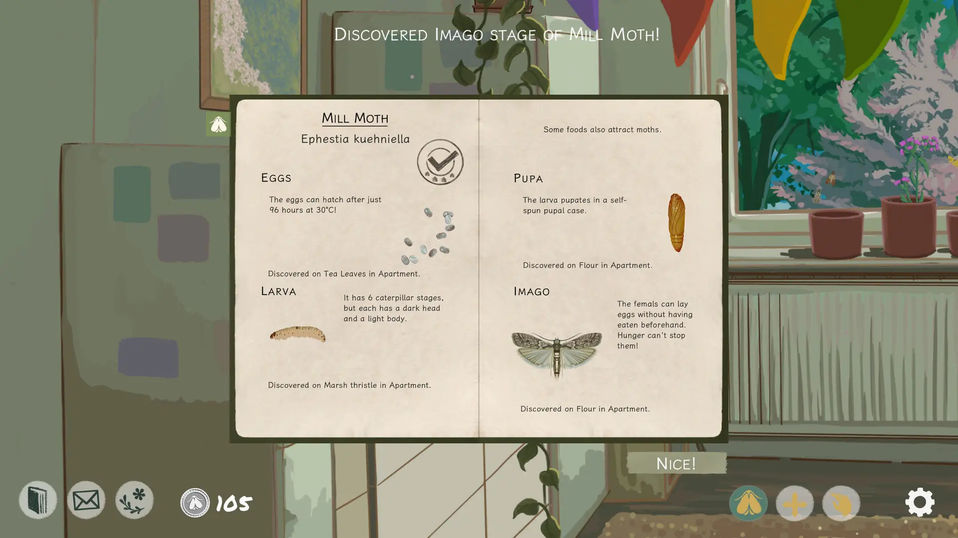Mothkeep壁纸